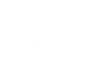 Untitled-7